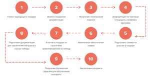 tendery-i-dokumentacija-putevoditel-dlja-uspeshnogo-uchastija